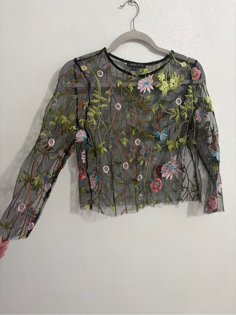 Black Sheer Floral Embroidered Long-Sleeve Blouse